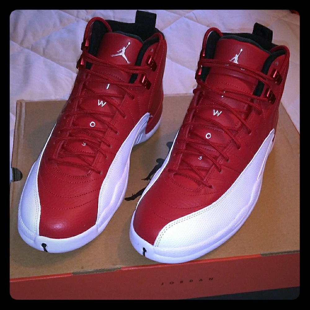 Jordan 12's NEW